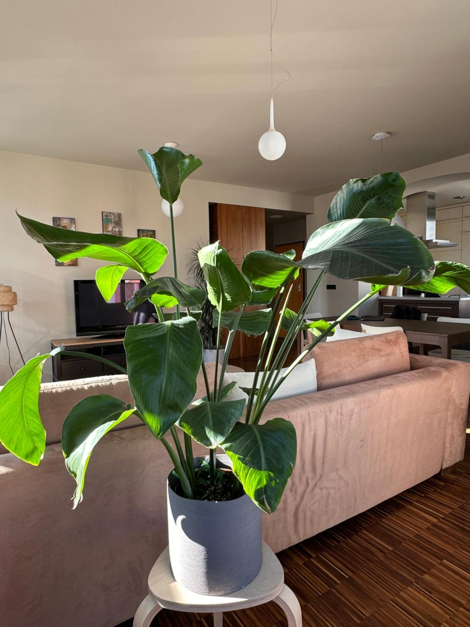 Apartament Triple Bridge Lublana Zewnętrze zdjęcie