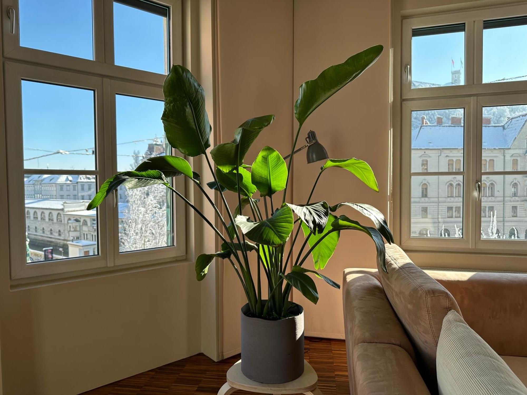 Apartament Triple Bridge Lublana Zewnętrze zdjęcie